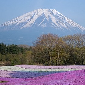 Mt. Fuji