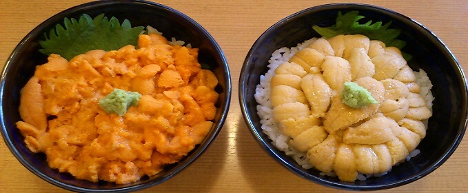 bafun uni and murasaki uni (hemicentrotus and crassispina)
