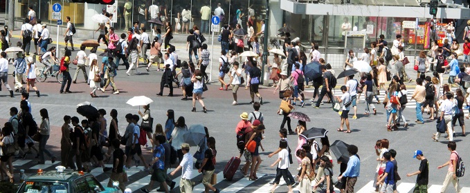 crossing Shibuya