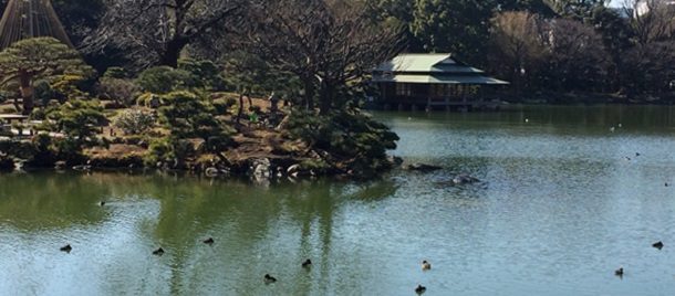 Kiyosumi Garden