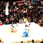 Sumo match