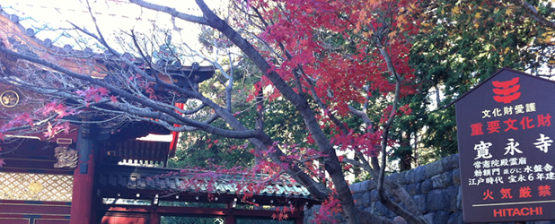 mausoleums of Tokugawa Shogun1