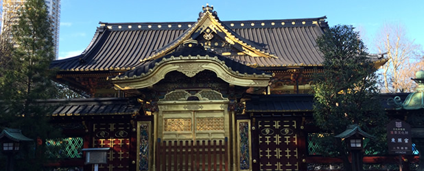 ueno toshogu panorama